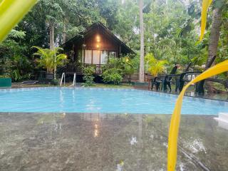 Coconut Tree House - 0