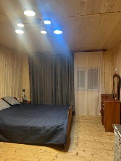 Будинок в Карпатах - 0