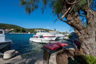 Family friendly seaside apartments Zaglav, Dugi otok - 9726 - 4