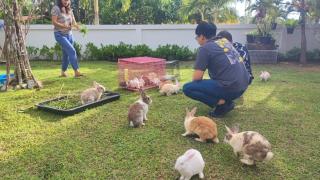 บ้านพักในสวนK&N2 - 8