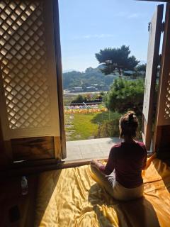Pet Friendly Hanok Temple Stay - 6