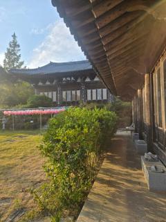 Pet Friendly Hanok Temple Stay - 8