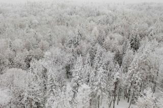 Zen House 7 - Villas & Spa - 5