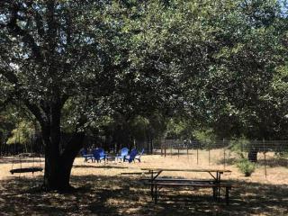 Gorgeous Safari Tent in Lakeside Village Ideal for Glamping near Dallas - 2