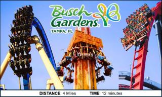 Amplia casa en el corazon de Tampa, para grupos grandes - 7