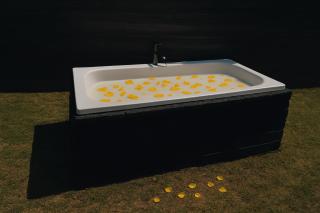 Tiny Huts Camp - Free Massage Hot Tub Sauna Waterfall Nearby - 5