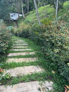 Sempiterno- la cabaña Whispering Wind - 2