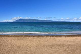 Sands of Kahana 354 · SK 354 Updated Maui OceanFront 2BD w Ocean - 4