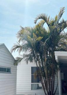 The Summer House - 4