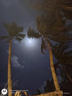 Casa kumake tayrona - 4