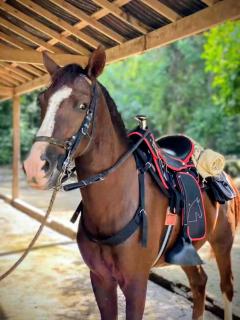 Casa kumake tayrona - 5