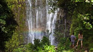 Royal Kahana 317 · RK 317 Remodeled BeachFront Studio w Ocean Vi - 1