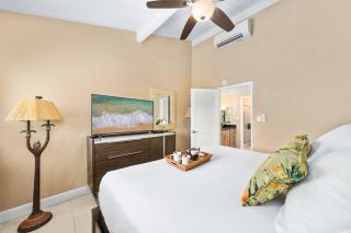 Napili Point C40 · NP C40 Beautiful OceanFront 2BD Ocean View AC - 7