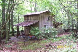 Romantic Cabin Rental with Fire Pit near Great Smoky Mountains National Park in Tennessee - 6