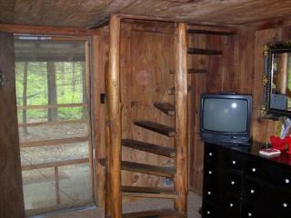 Romantic Cabin Rental with Fire Pit near Great Smoky Mountains National Park in Tennessee - 1