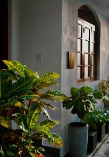 IGN Residence Colombo - 8