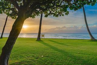 Papakea A306 · Papakea A306 Remodel Oceanfront Studio Getaway - 1