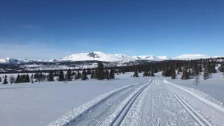Timber Cabin With Views Over Golsfjellet - 7