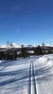 Timber Cabin With Views Over Golsfjellet - 4