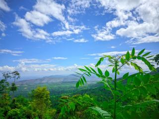 Araliya Garden Nest - 7