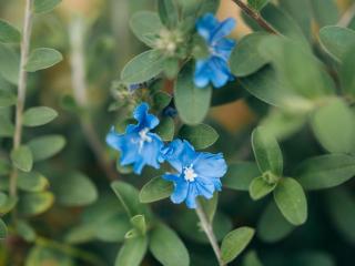 Bungalow créole avec terrasse et vue océan, Les Avirons - FR-1-786-74 - 2