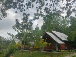 Seeing Green Udawalawa - 0