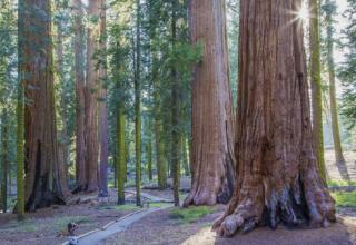 The White House Coveted Triplex Near Lake - 1