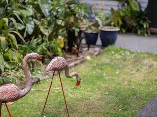 Bungalow Eight - 1930s charm near Pukekura Park - 7