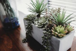 Holiday on Hamblyn - 2 BR home near Fitzroy Beach - 2