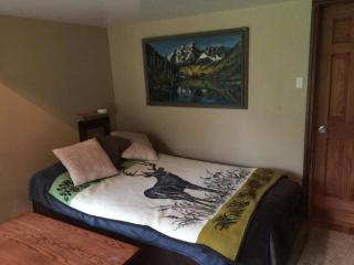 Picturesque Cabin Retreat with Private Sauna near New Richmond, Wisconsin - 1