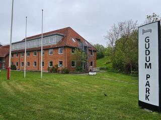 Danish comfort room for 2 guests - 6