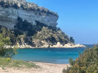 Appartement spacieux à Porto-Vecchio avec piscine partagéeB - 8