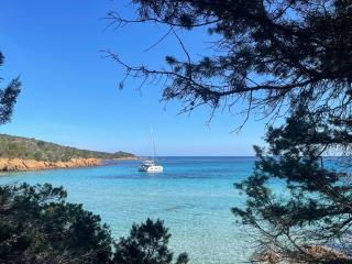 Appartement spacieux à Porto-Vecchio avec piscine partagéeB - 1
