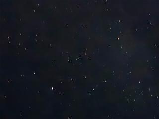 Petit villa Sea grapes - 5