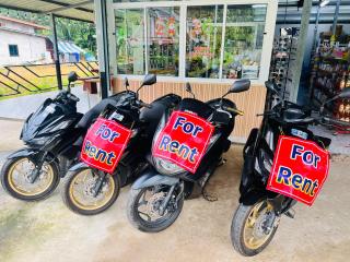 Meturr Guest House Khaosok - 7