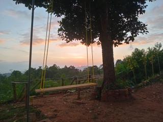 Solitary Cottage Dunhinna - 1