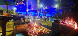 Sky Blue Cabin - 4