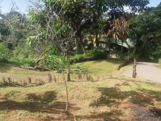 Hotel la montaña el trogon - 7