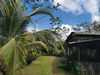 Hotel la montaña el trogon - 5