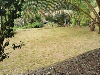 Hotel la montaña el trogon - 4