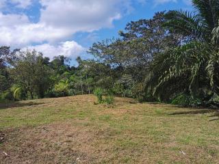 Hotel la montaña el trogon - 2