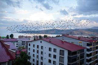 Sarayım Rezidans - 8