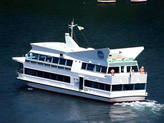 Corredor Yugawara Dog＆Resort - 5