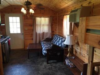 Galeton, Pennsylvania Glamping Cabin, Ideal for a Family Nature Escape - 2