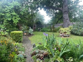 PET Friendly Miners Cottage 'Baraka BnB' - 5