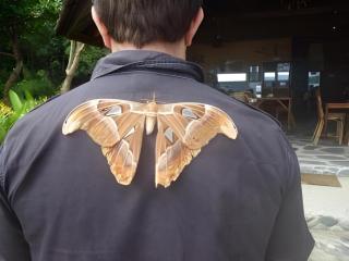 Secret Paradise Resort & Turtle Sanctuary - 7