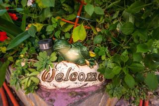 Apartments in Starigrad-Paklenica 6846 - 1