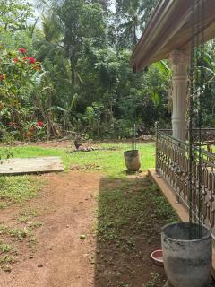 A tropical delight! - 7