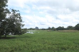 Middle of The Village Sigiriya - 9