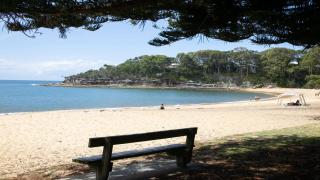 Walk To Beach, Pet Friendly Trampoline - 9